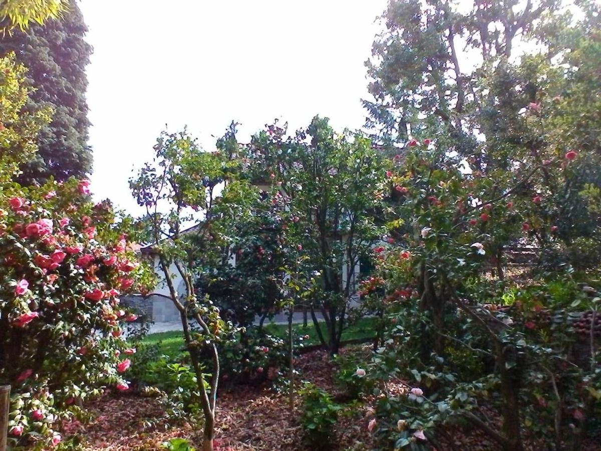 La Camelia D'Oro Apartment ออกเจบบิโอ ภายนอก รูปภาพ