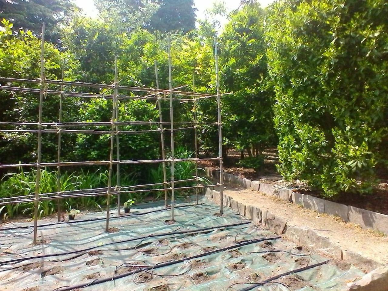 La Camelia D'Oro Apartment ออกเจบบิโอ ภายนอก รูปภาพ